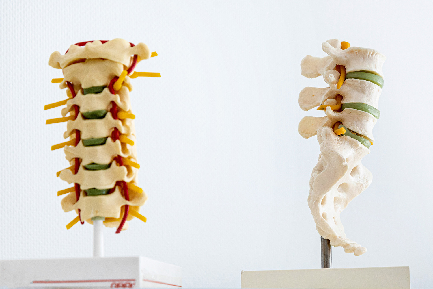 Rheumatologie - Abklärung und Behandlung von sämtlichen Erkrankungen aus dem rheumatologischen Formenkreis